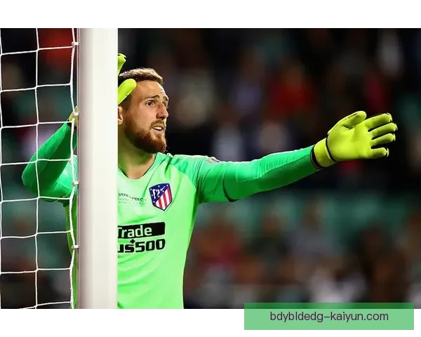 特拉布宗体育未来规划引发球迷关注，发展方向逐步明朗